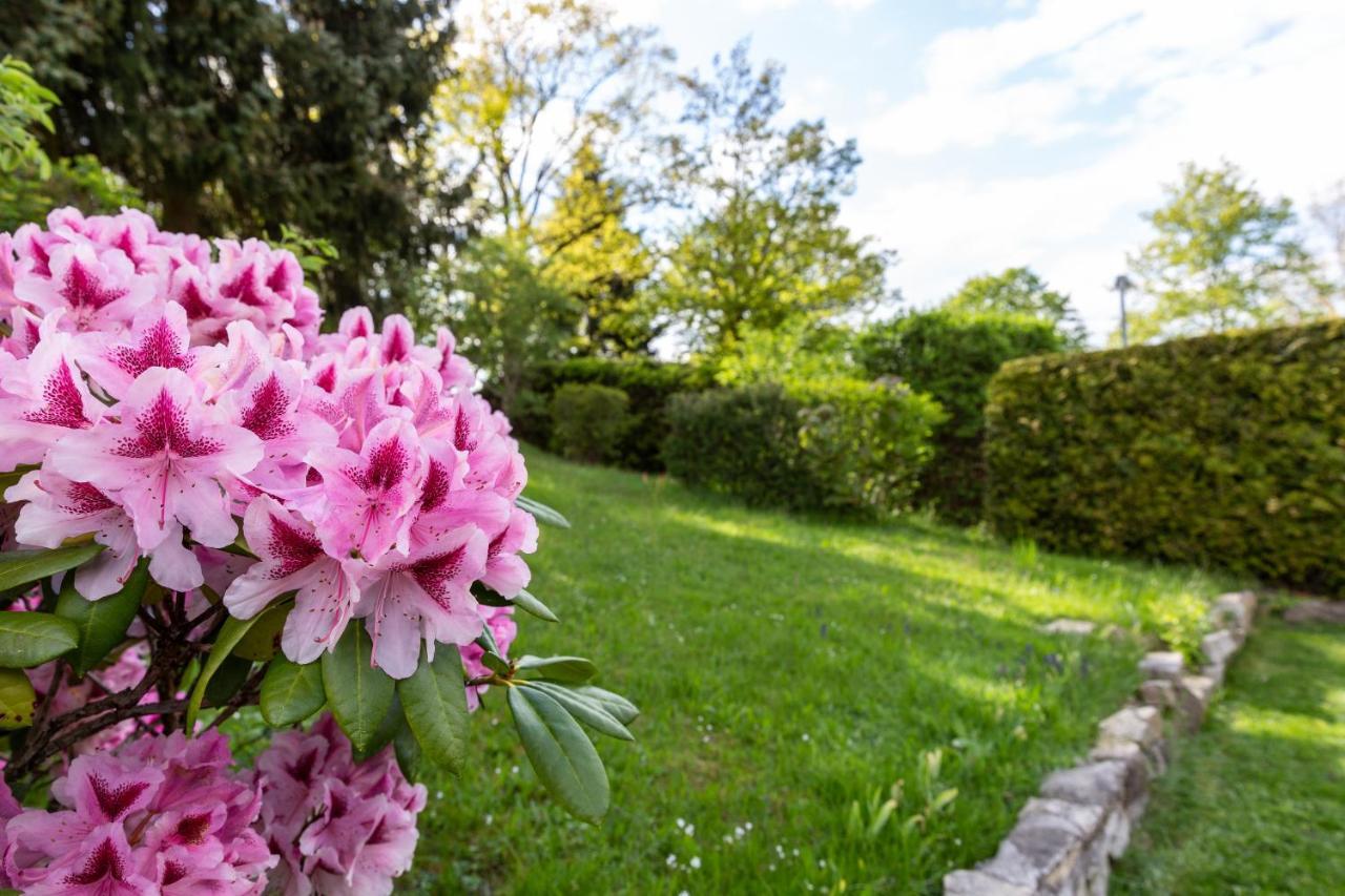 Landhotel Gottinger Waldkirchen Εξωτερικό φωτογραφία